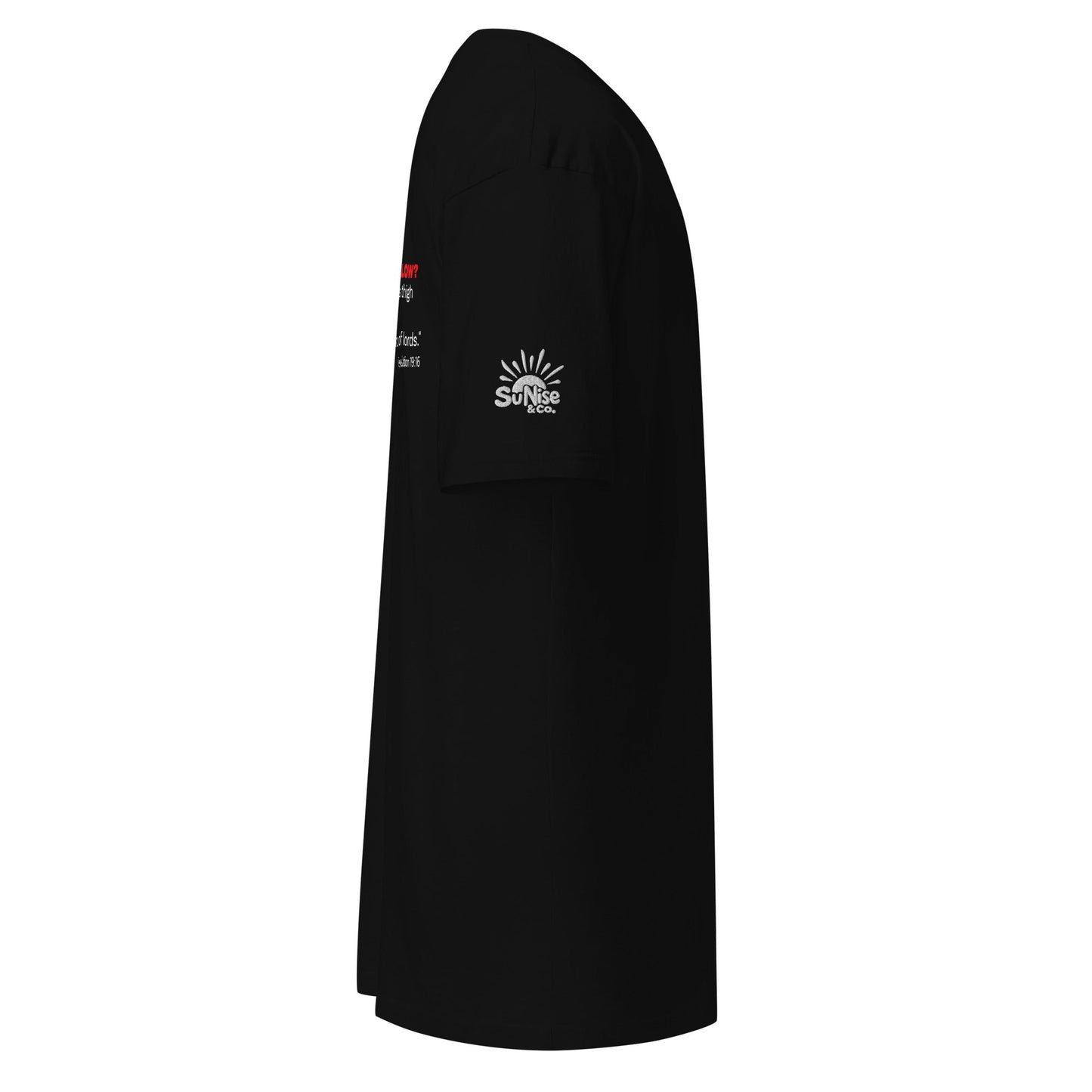 Jesus is my KING - Men’s Premium heavyweight tee - SuNise & Co