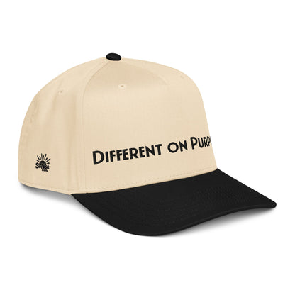 DIFFERENT ON PURPOSE Cap — R.12.1.2 - SuNise & Co
