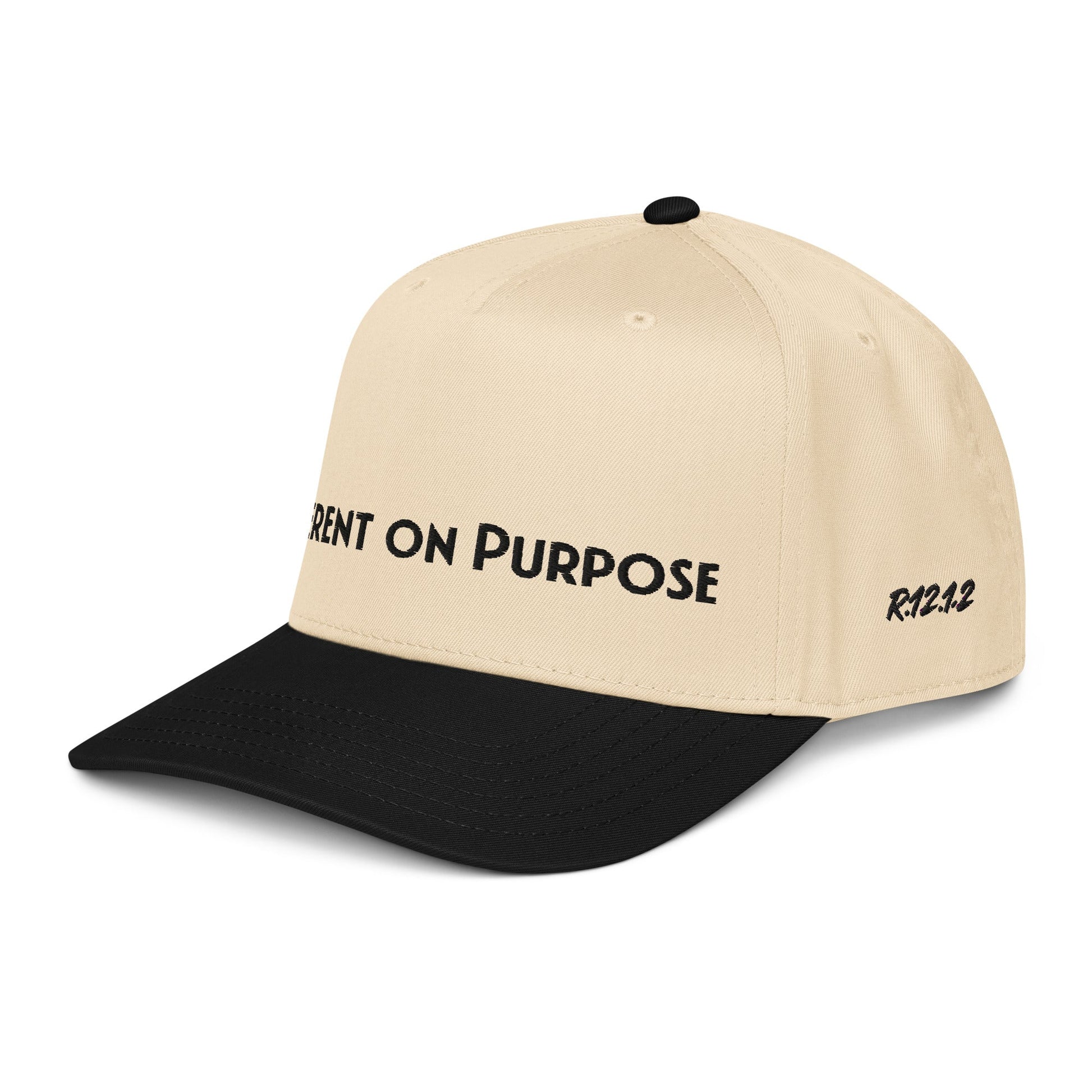 DIFFERENT ON PURPOSE Cap — R.12.1.2 - SuNise & Co